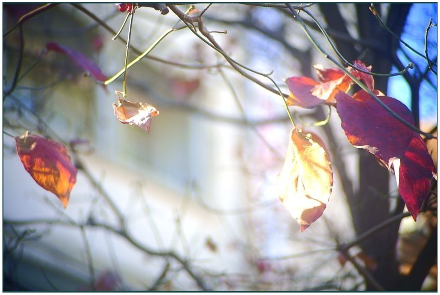 気心の知れた友と