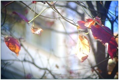 気心の知れた友と