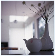 優しい光　（Film）