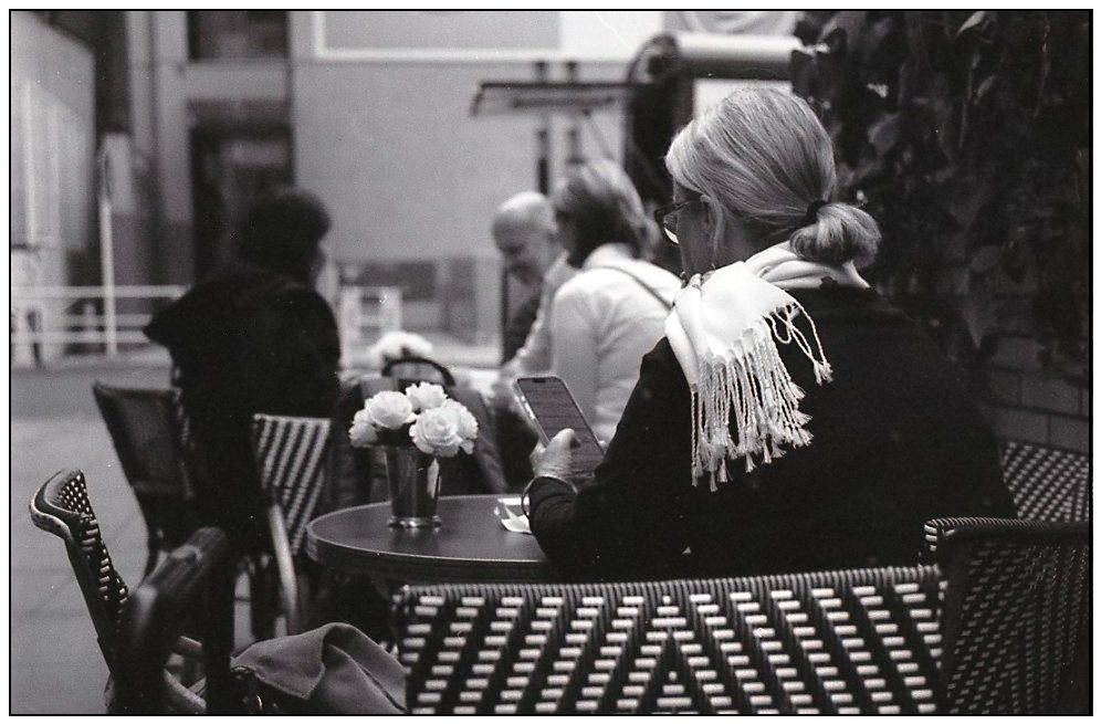 頼みの綱は・・   (Film)