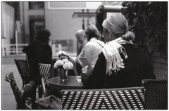 頼みの綱は・・   (Film)