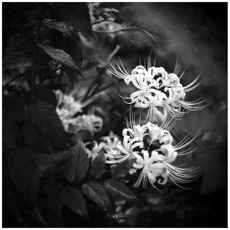 他人の家の芝は青く見えて・・
