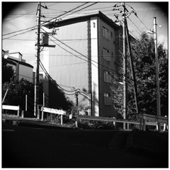 歯医者さんに行く途中