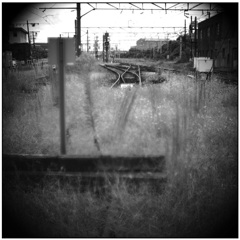 もう理性が利かない・・ もう理性が利かない・・