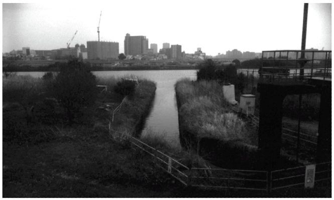 ピントの合わない作品  そのⅠ　（film)