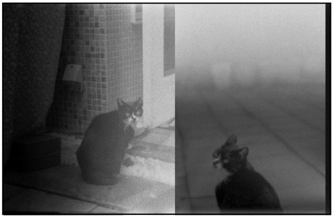 Waiting..  (Film)