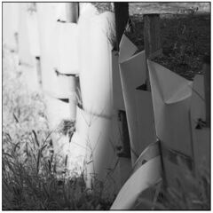 ご近所風景　　（その４）