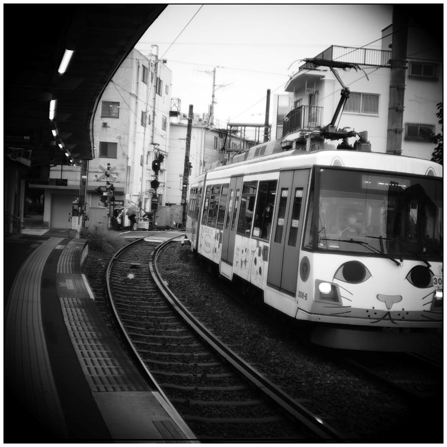 幸せを呼ぶ招き猫の電車