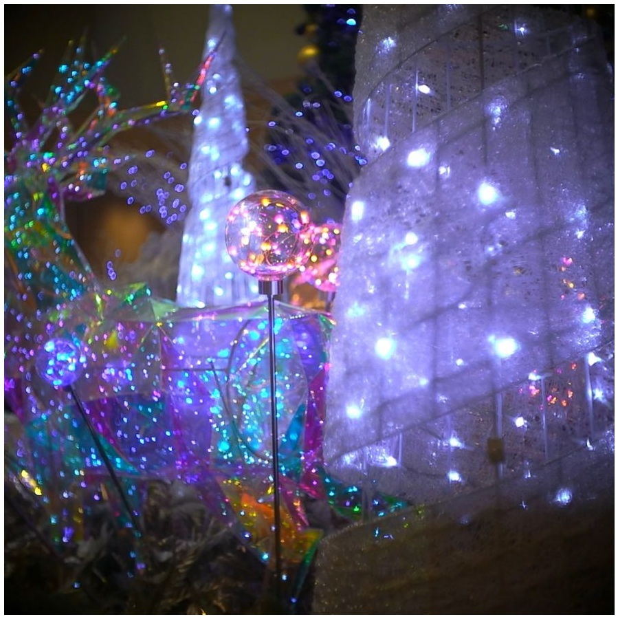 レンズアンジェニューのボケ