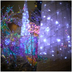 レンズアンジェニューのボケ