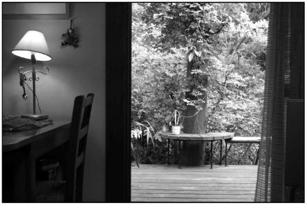 私の悩める場所