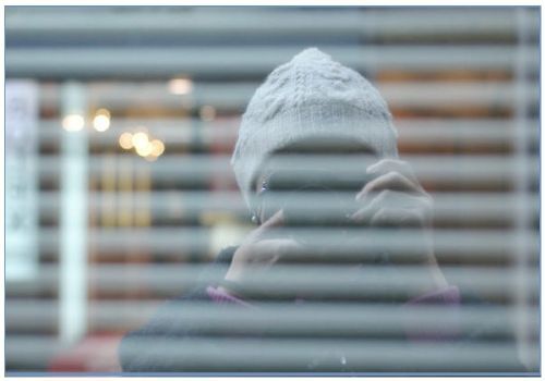 今年も、よく撮りました