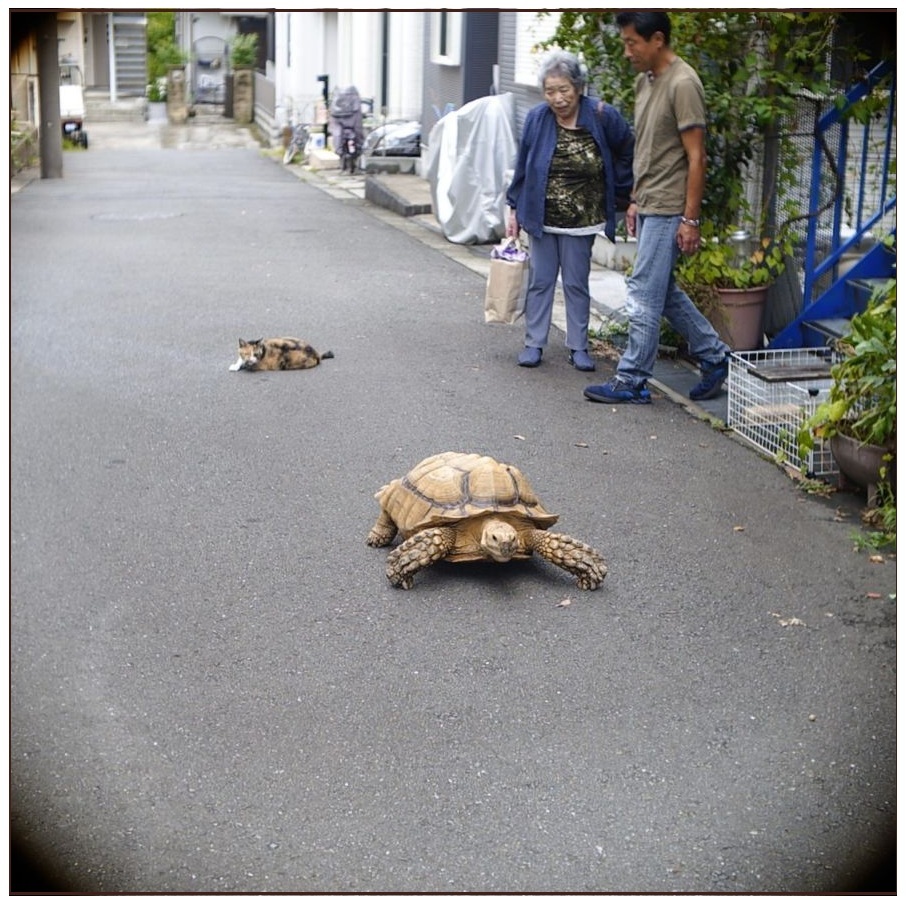 写真は瞬発力