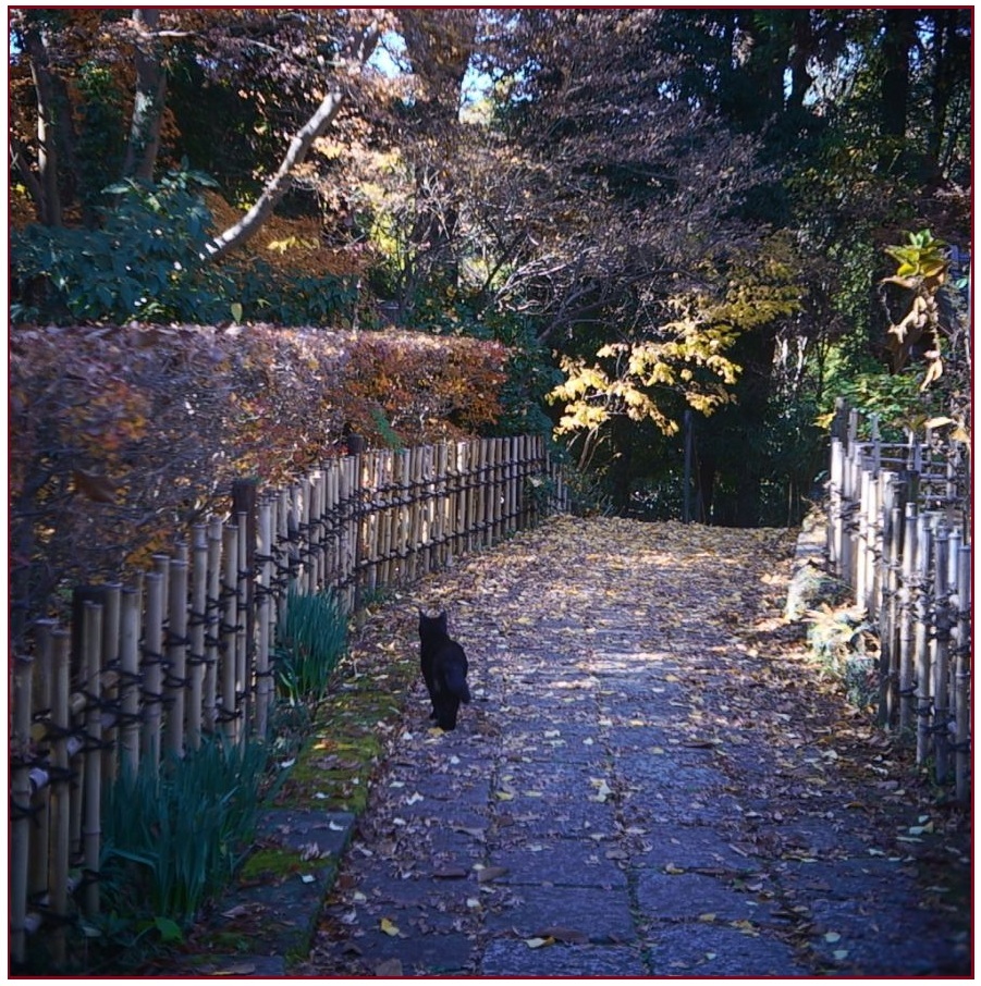 初冬の古刹   (２)