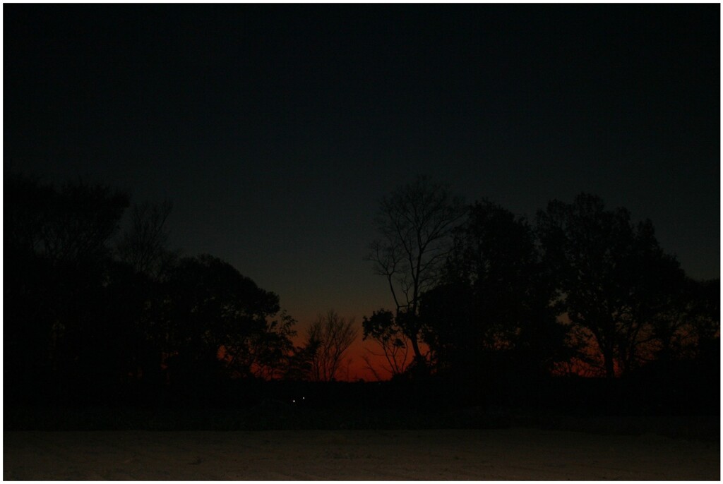 before-the-dark-night