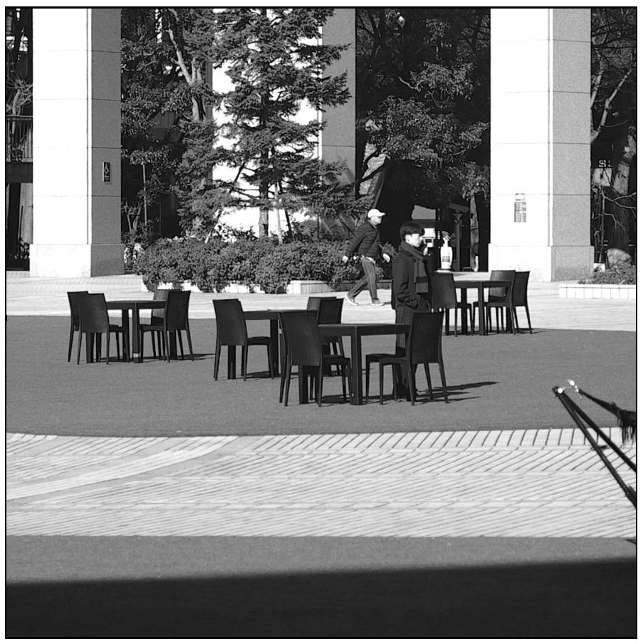 都庁の広場でカレーライス