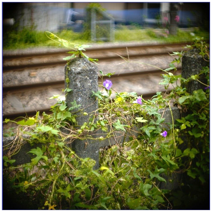 線路際の風景Ⅰ