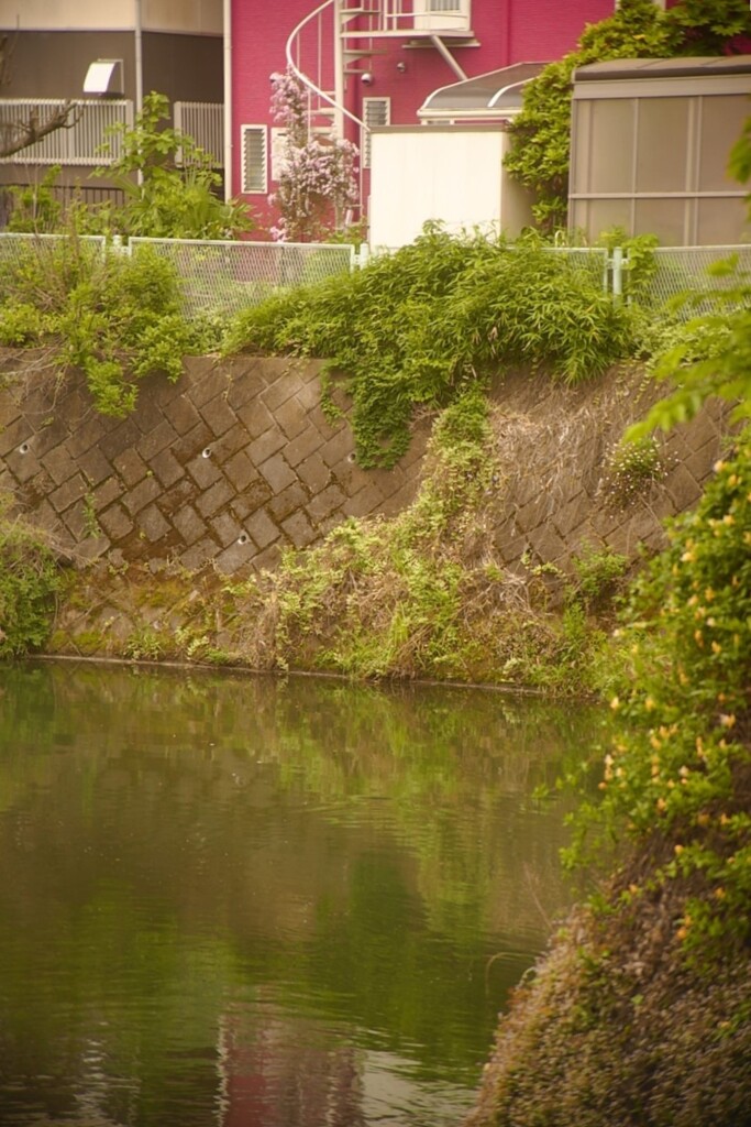 川辺の赤い家