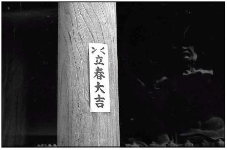 寒さ！もう少しの辛抱     (film)