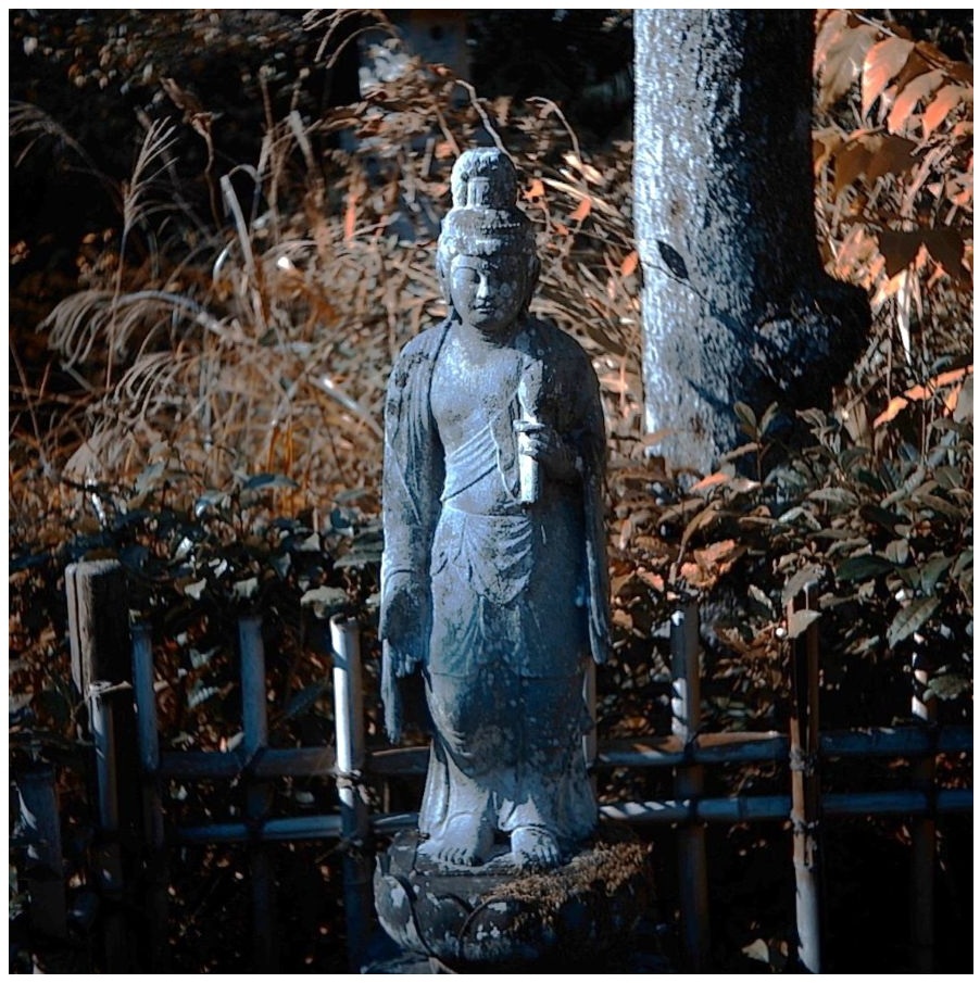 初冬の古刹   (１)