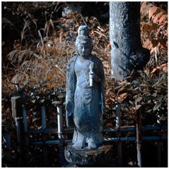 初冬の古刹   (１)