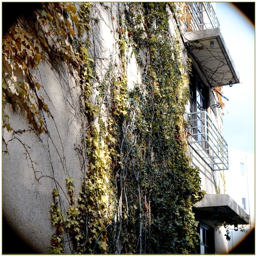 貴方が、そこにいる限り・・