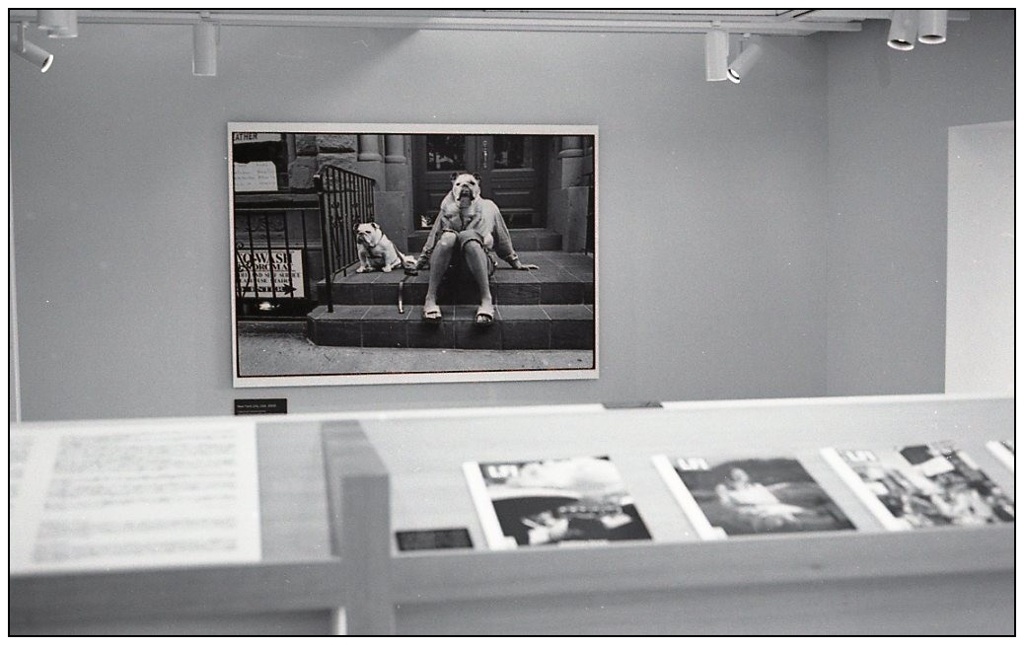 Elliot Erwitt and John Sypal  (Film)