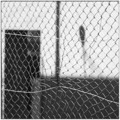 ご近所風景　（その３）