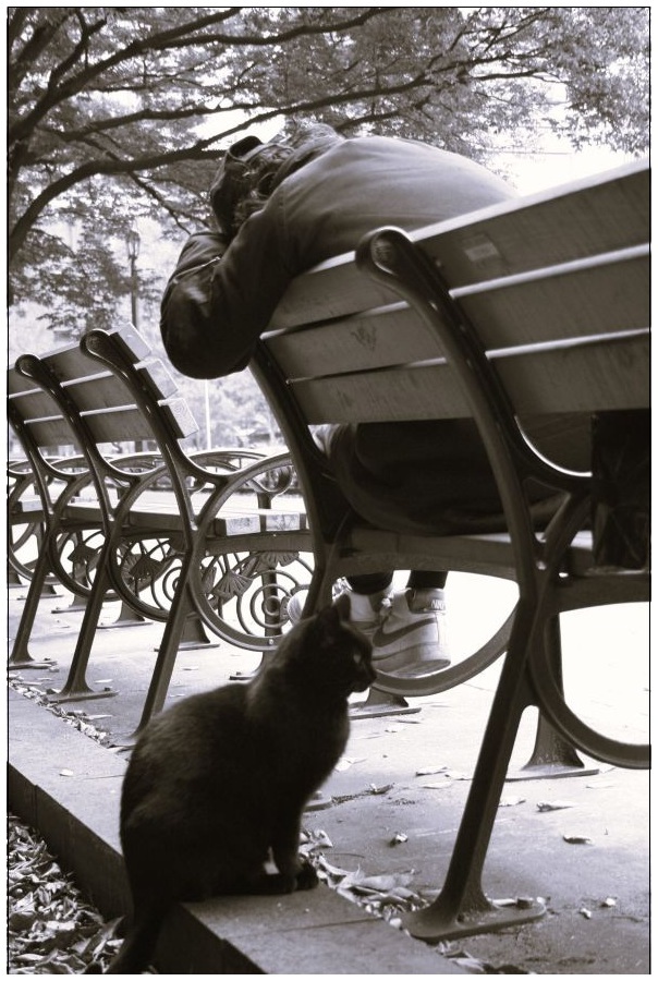 私達はホームレス