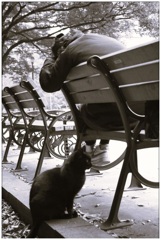 私達はホームレス