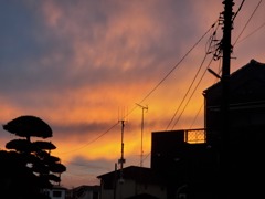 20201023_165629