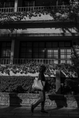 ZF0_0402