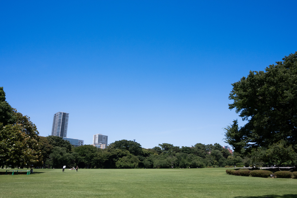 新宿御苑