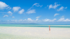 夏