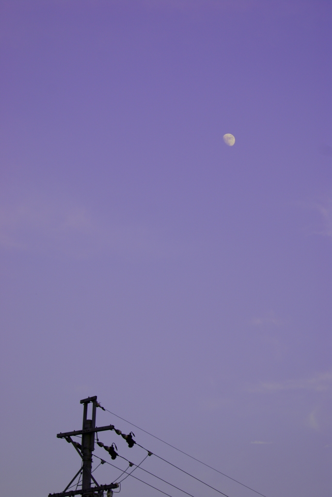 夜へ・・・