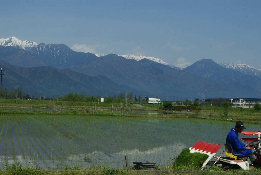 田植え日和