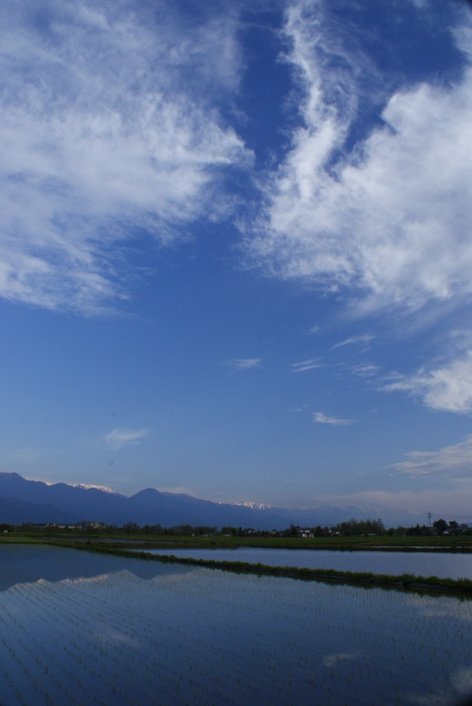 春空