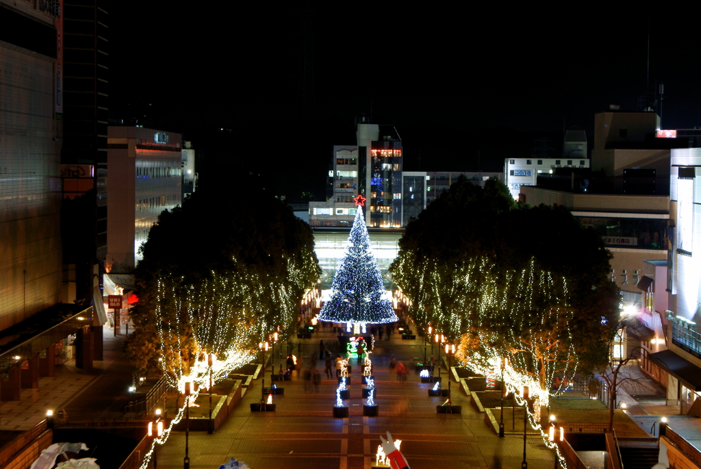 Illumination [Christmas tree]