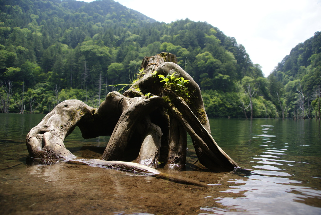 抱擁