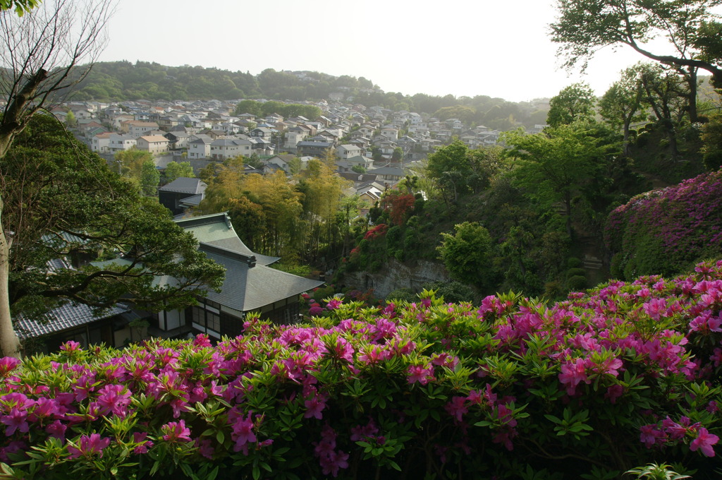 仏行寺より望む