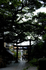 御霊神社