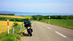 memorial summer
