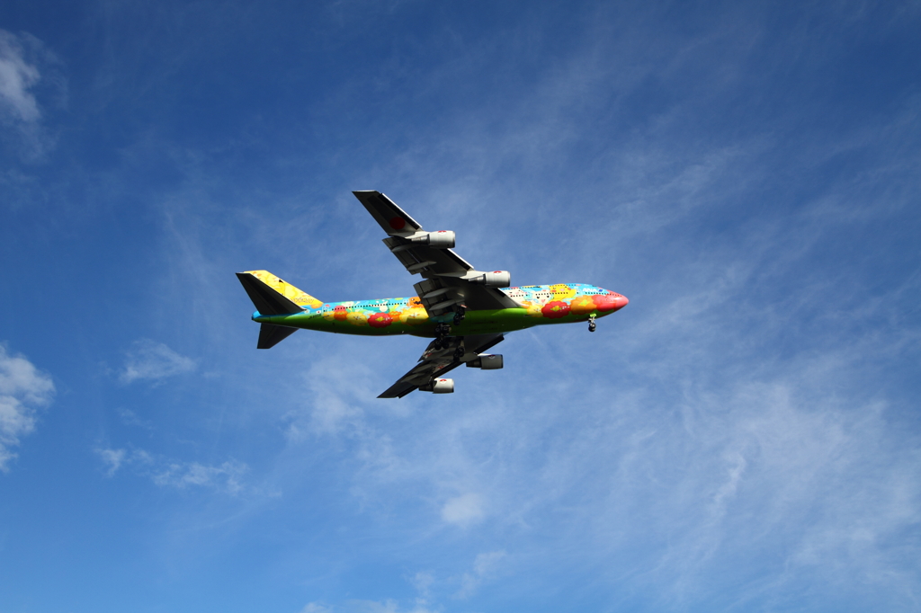 pokemon jet