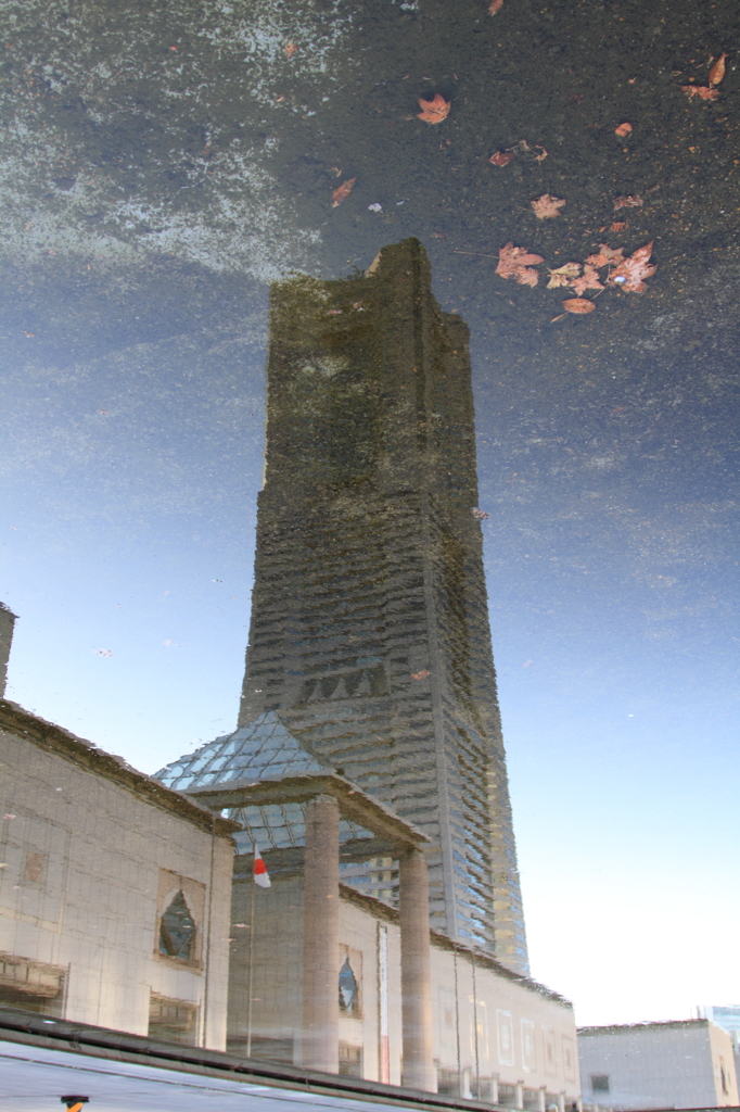 Mirror world