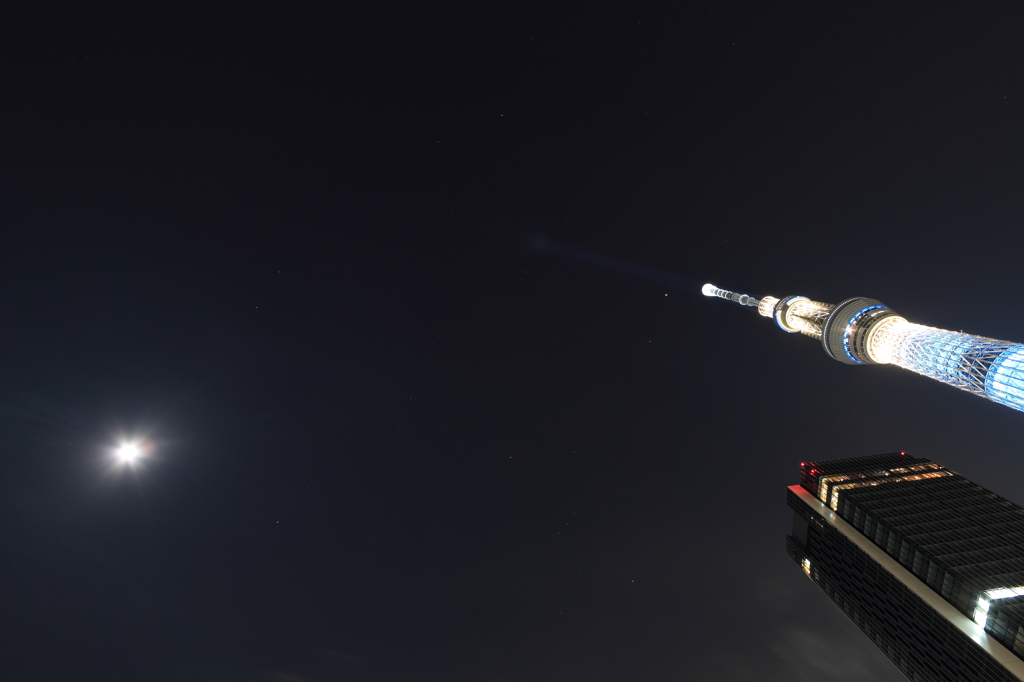 Moon and Tree
