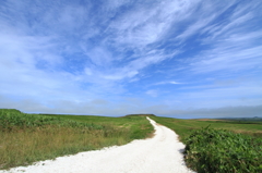 White road, Blue sky