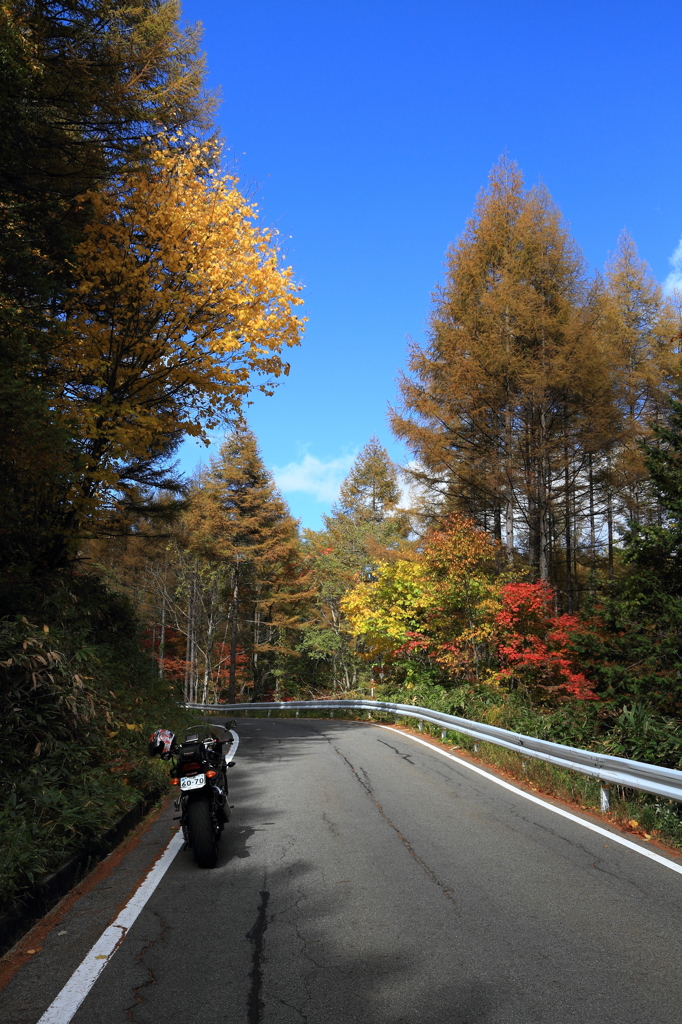 Fire Road