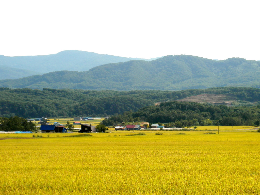 北の景色