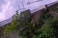 SDIM1761