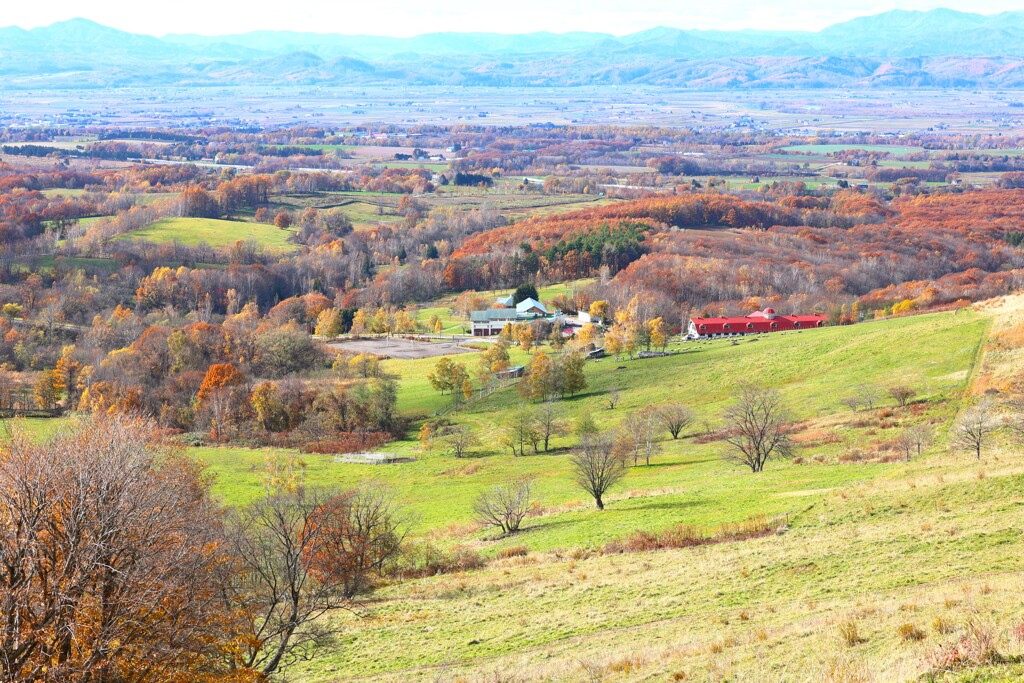 丸加山高原伝習館